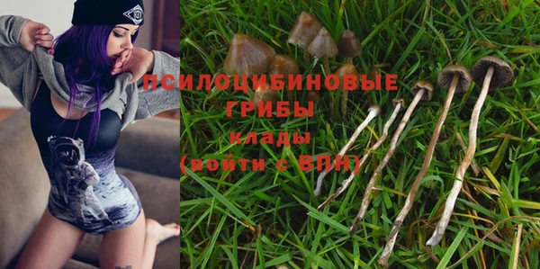 индика Пересвет