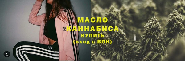 индика Пересвет