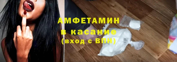 индика Пересвет