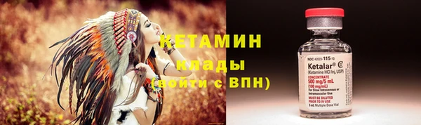 индика Пересвет