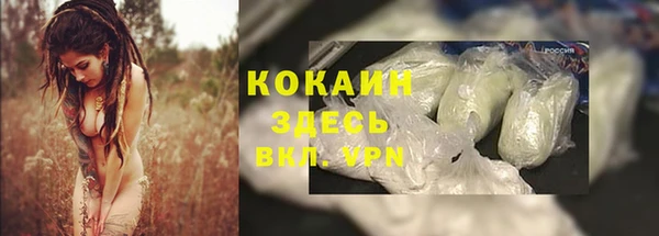винт Пестово