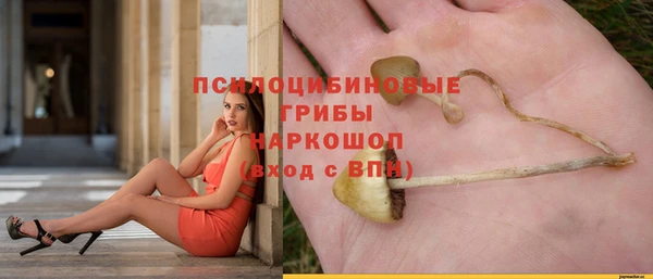 МДПВ Переславль-Залесский