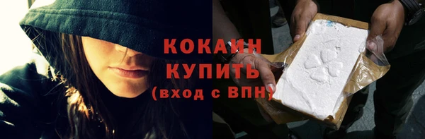индика Пересвет