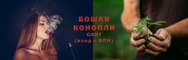 винт Пестово