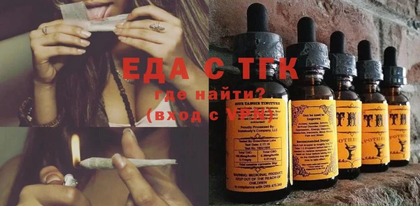 индика Пересвет