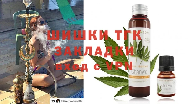 индика Пересвет