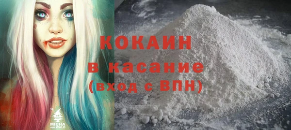 индика Пересвет