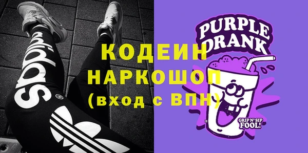 индика Пересвет
