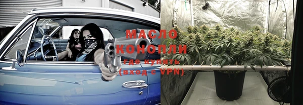индика Пересвет