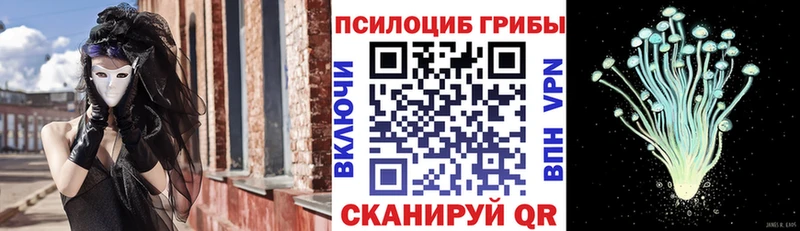 Купить где  Сатка  Псилоцибиновые грибы мухоморы 